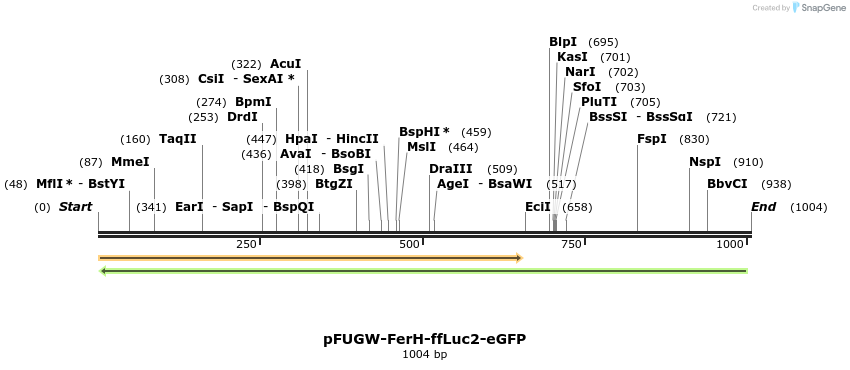 132089_map
