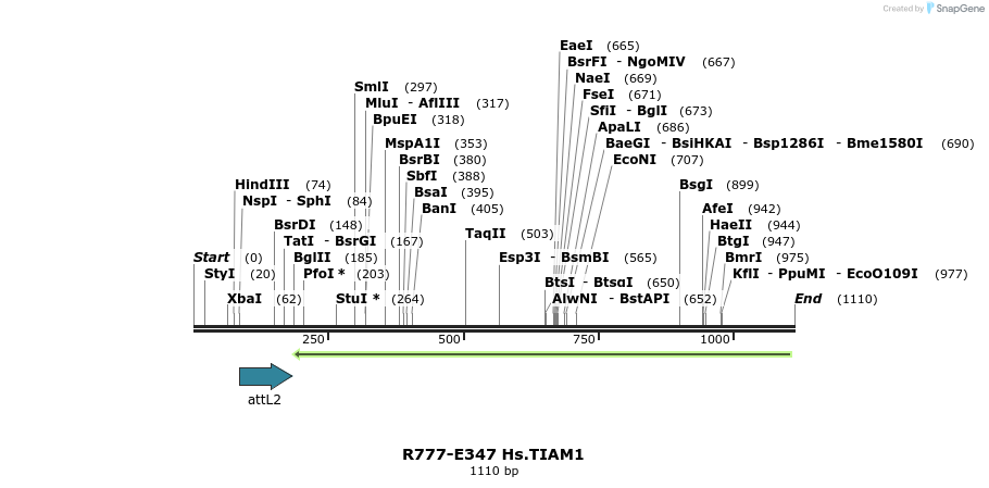 132091_map