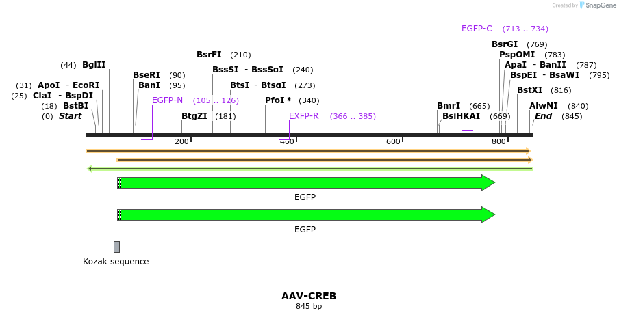 132092_map