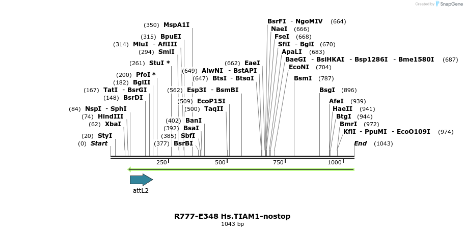 132094_map