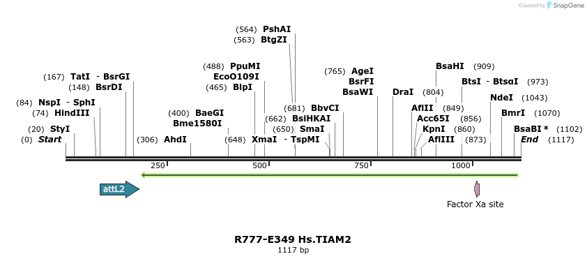 132095_map