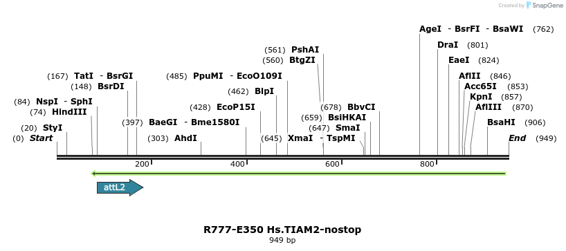 132097_map