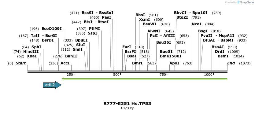 132098_map