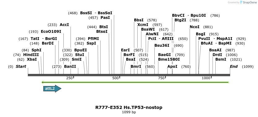 132099_map