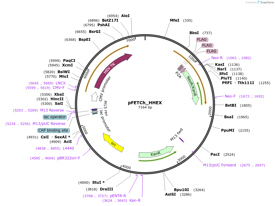 132103_map
