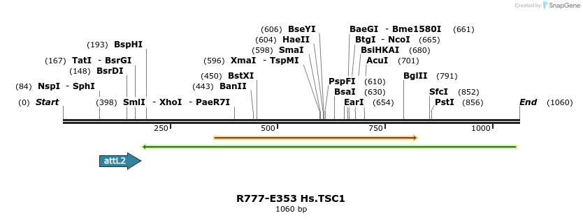 132126_map
