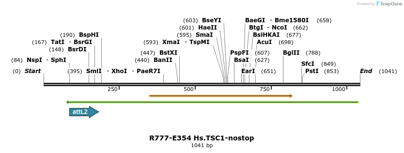 132127_map