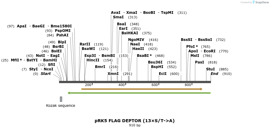 132128_map