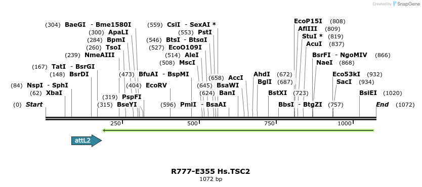 132129_map