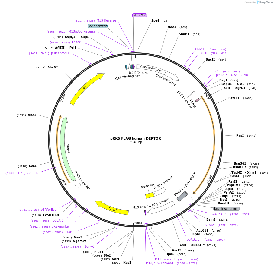 132131_map