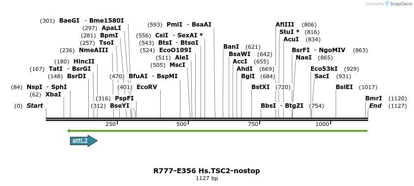 132133_map