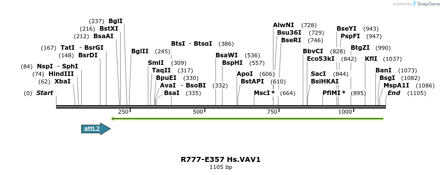 132134_map