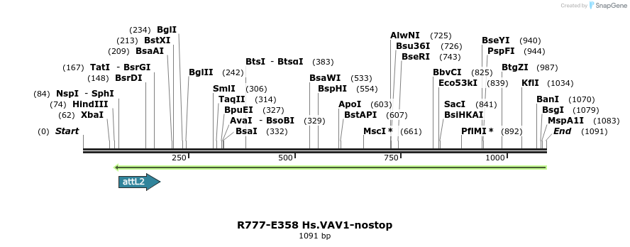 132135_map
