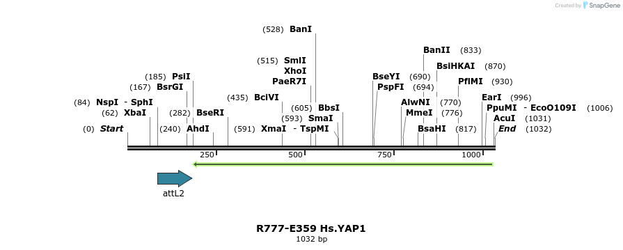 132136_map