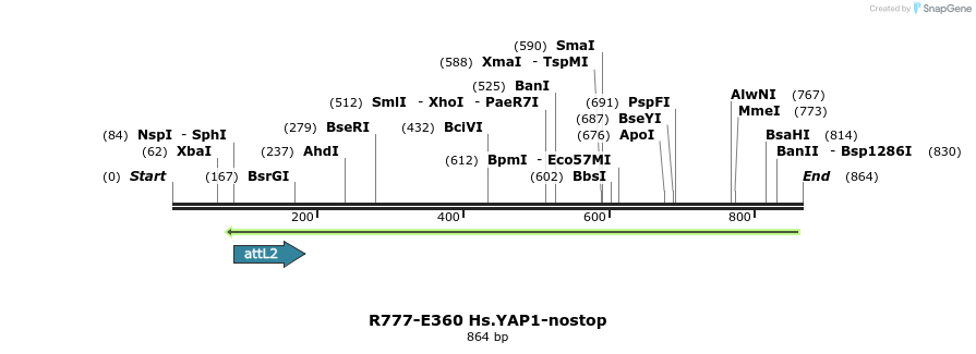 132137_map