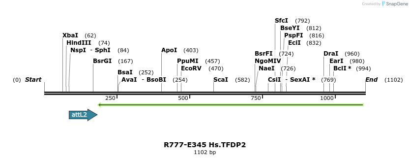 132138_map