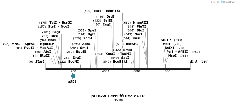 132139_map
