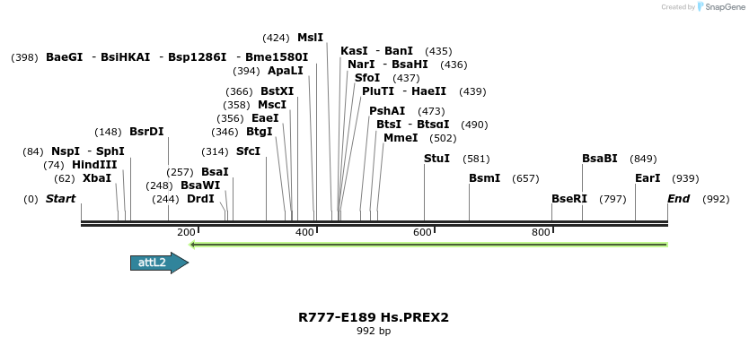 132140_map