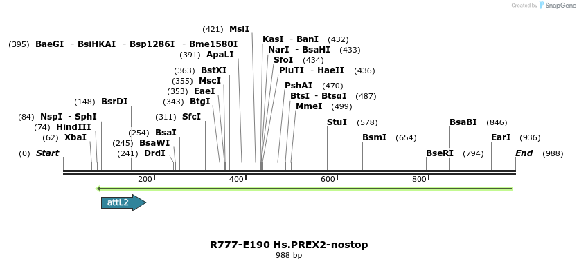 132141_map