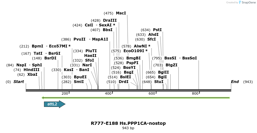 132142_map