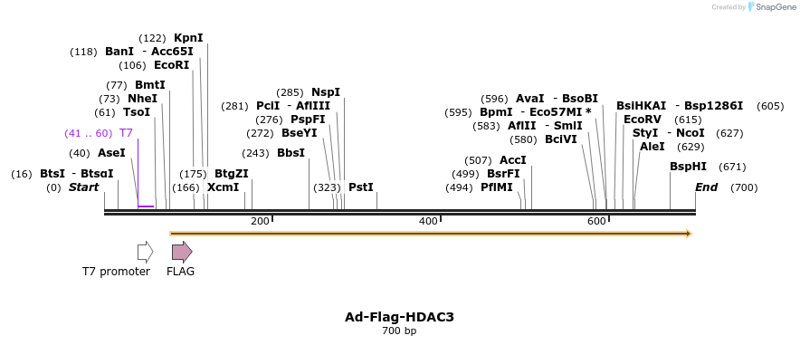 132143_map
