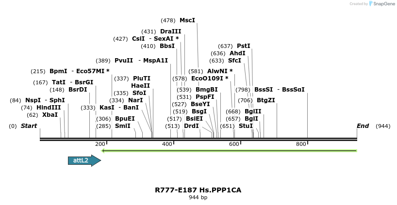 132144_map