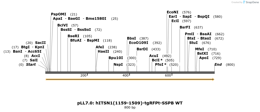 132145_map