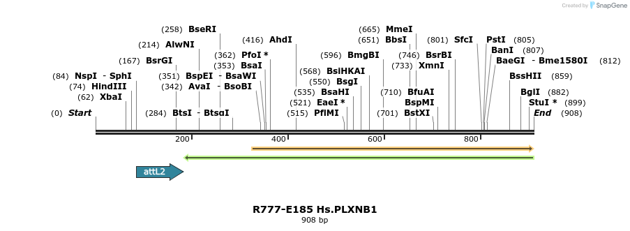 132146_map