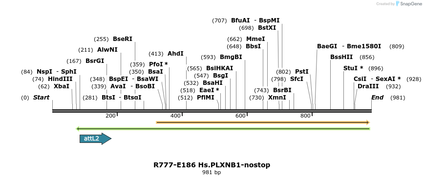 132148_map