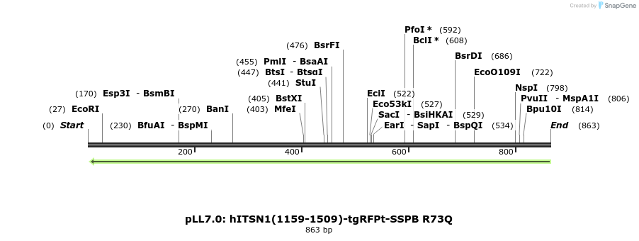132149_map