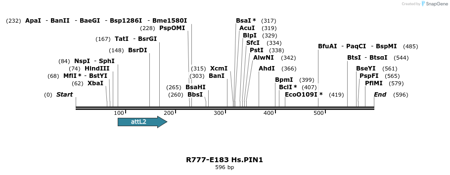 132150_map