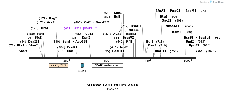 132153_map