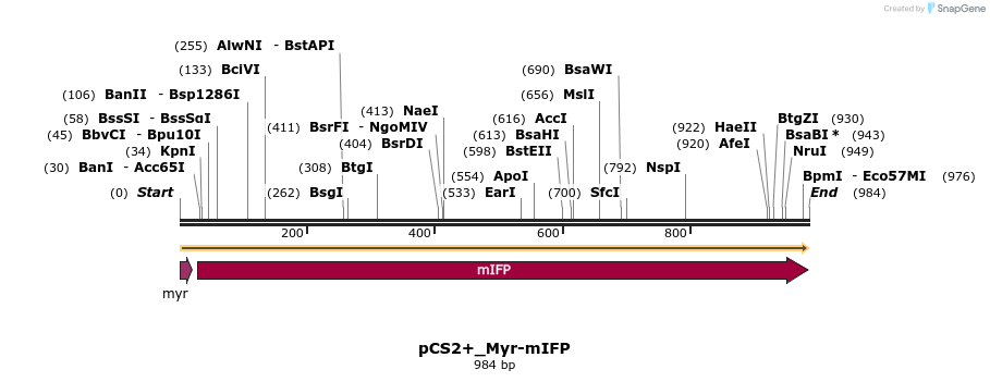 132155_map