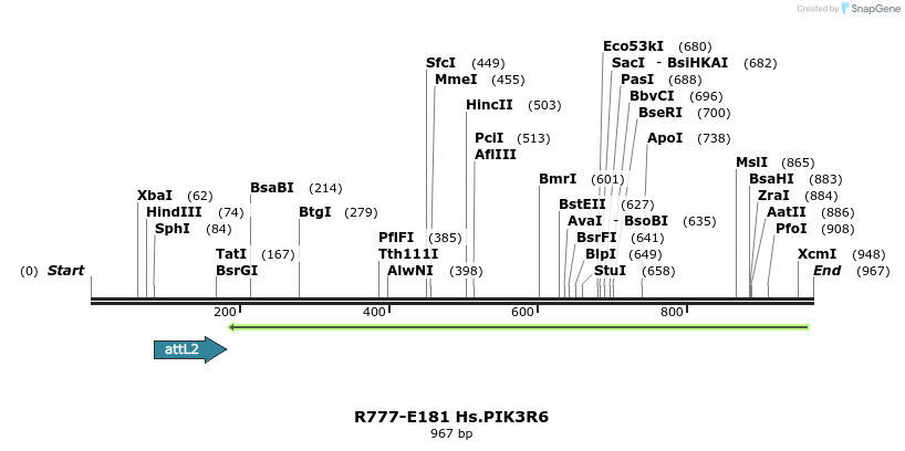 132156_map