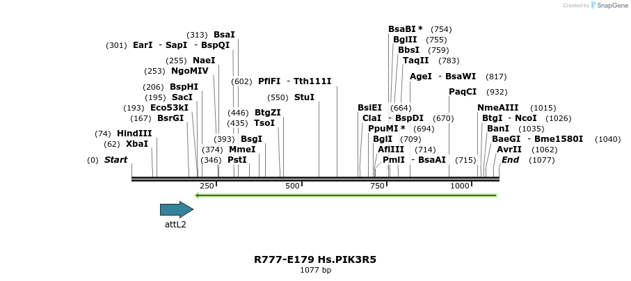 132161_map