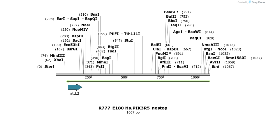 132163_map