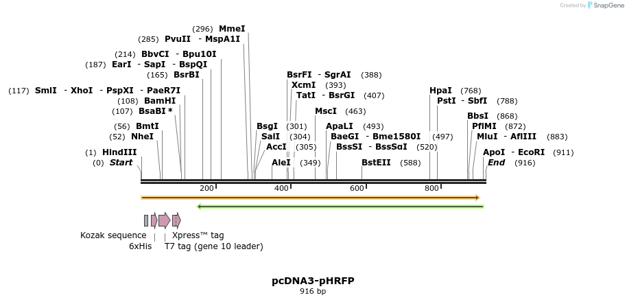 132167_map