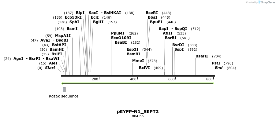 132173_map