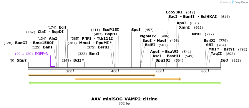 132174_map