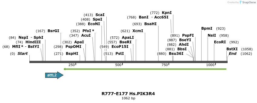 132181_map