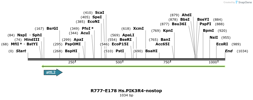 132184_map