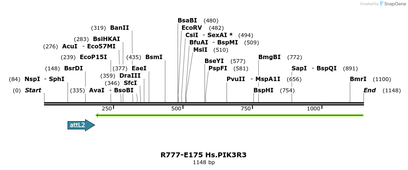 132187_map