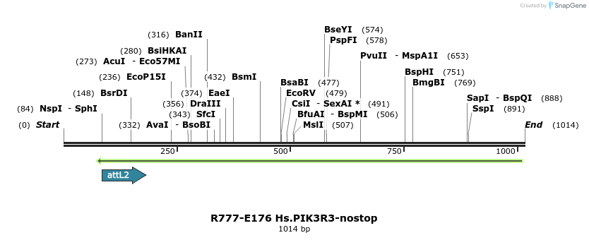 132188_map