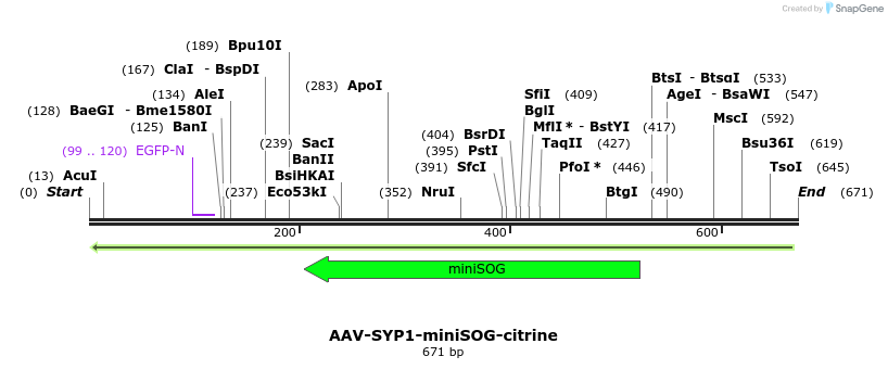 132189_map