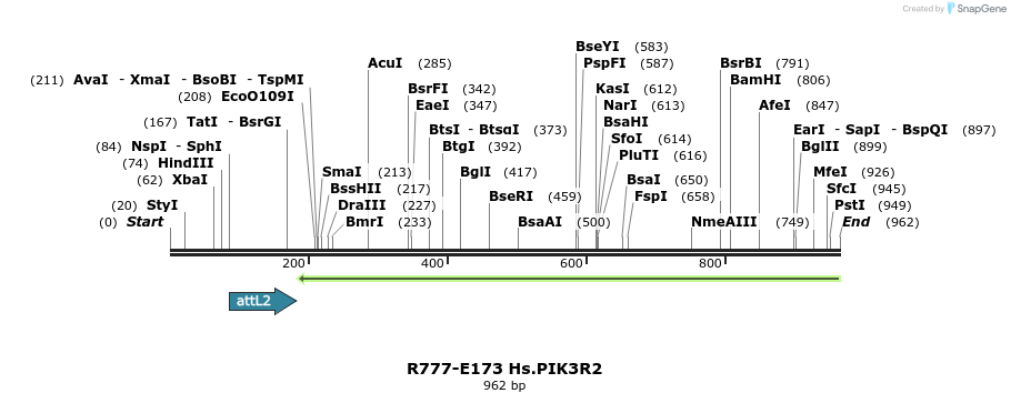 132191_map