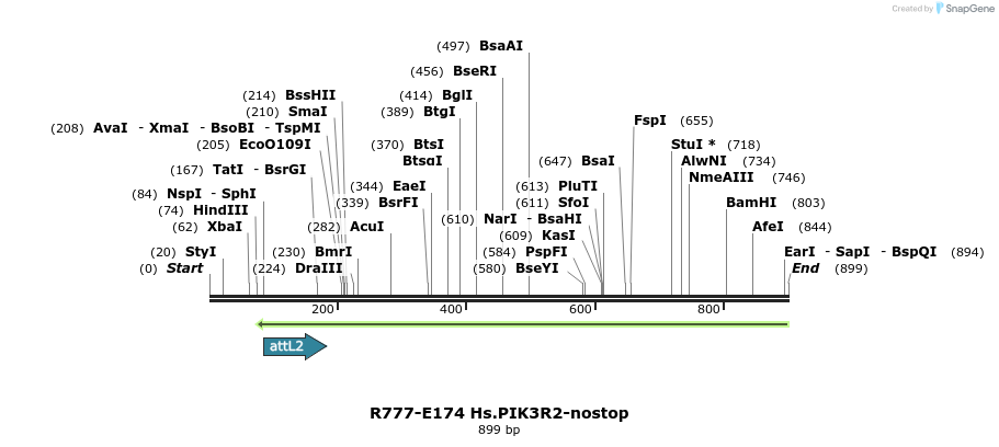 132193_map