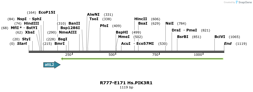 132195_map
