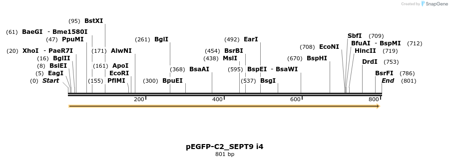 132198_map