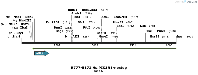 132199_map