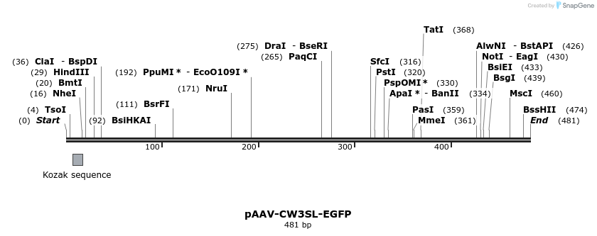 132201_map